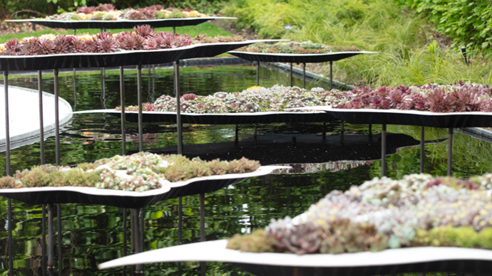 2-The Living Batik, carte verte par Inch Lim (Malaisie) - © E. Sander